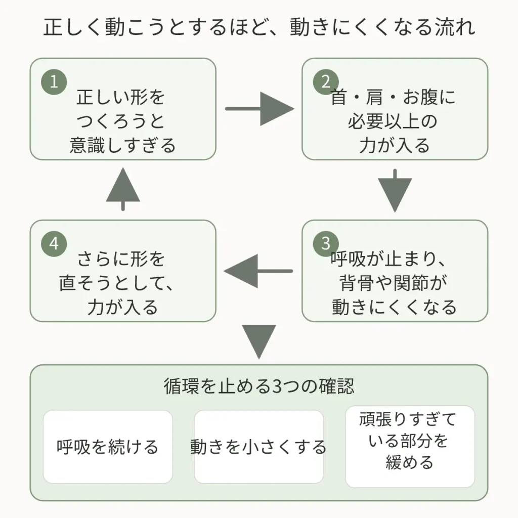 正しく動こうと意識しすぎることで身体が固まる循環と、循環を止める3つの確認