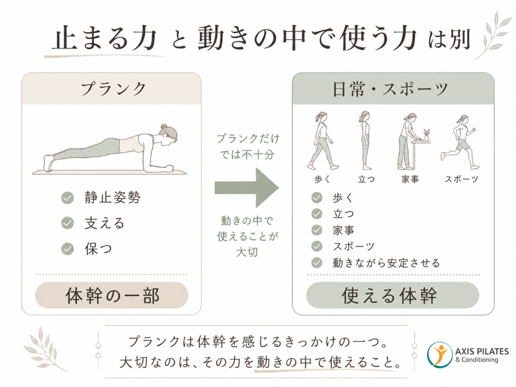 プランクの静止姿勢で支える力と、歩く・立つ・家事・スポーツなど動きの中で使う体幹の違いを説明した図解