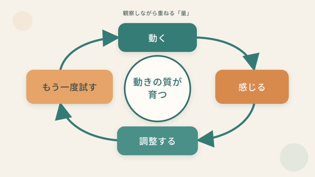 動く、感じる、調整する、もう一度試すという循環によって動きの質が育つことを示した図解