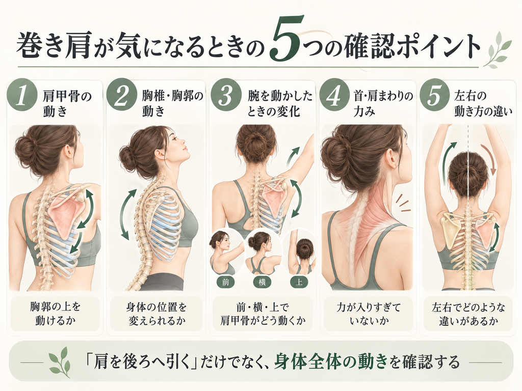 巻き肩が気になるときに確認したい、肩甲骨の動き・胸椎と胸郭の動き・腕を動かしたときの変化・首や肩まわりの力み・左右の動き方の違いの5つを示した図。