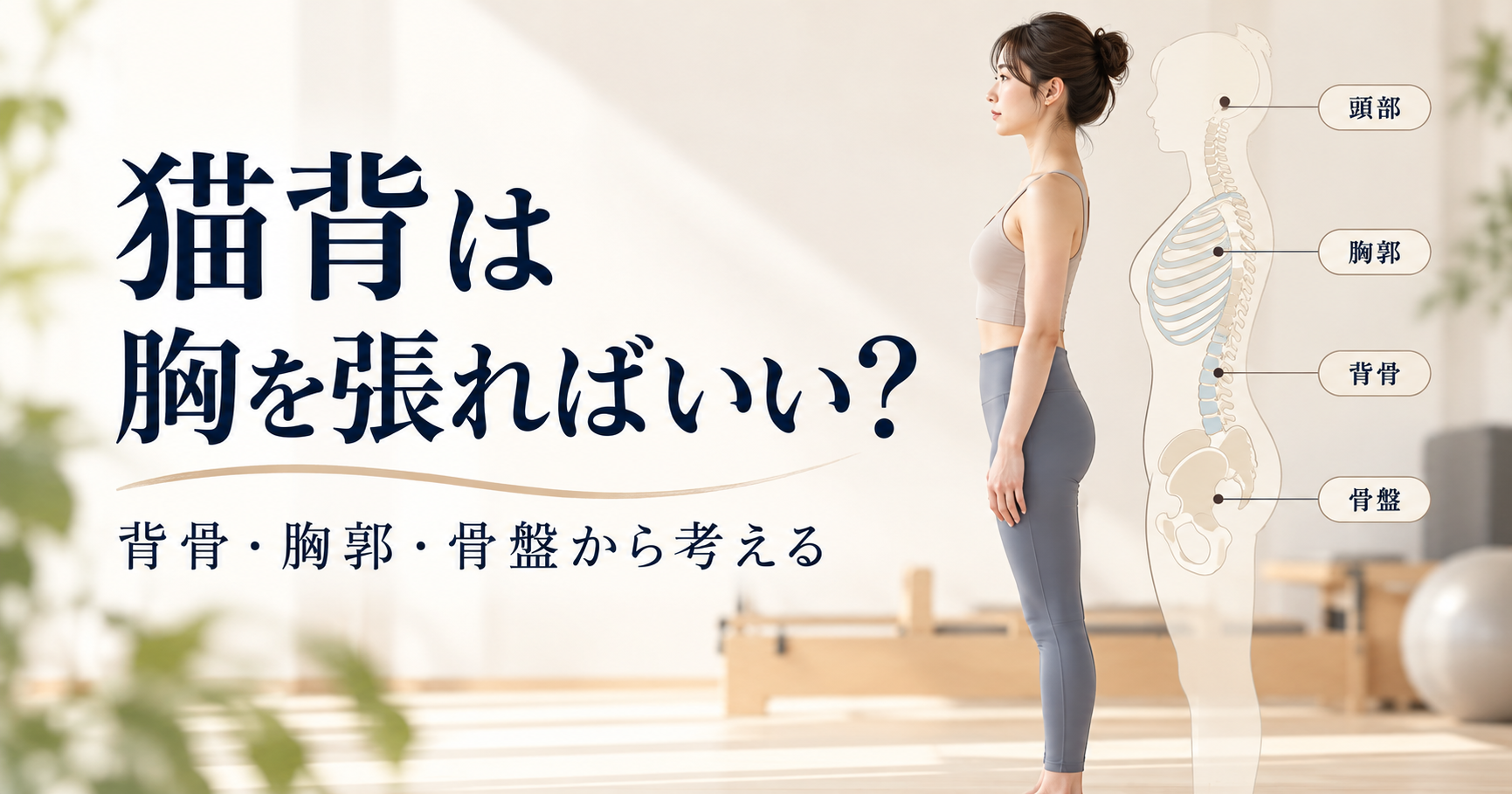 猫背が気になる方に向けて、立位姿勢の女性と頭部・胸郭・背骨・骨盤の位置関係を示した解剖図を組み合わせたアイキャッチ画像